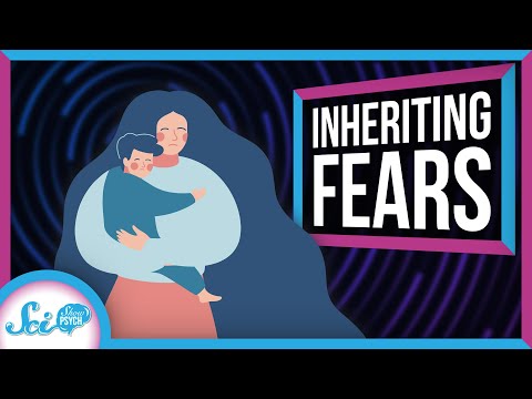 Universal Phobia: The Pervasive Fear of Everything