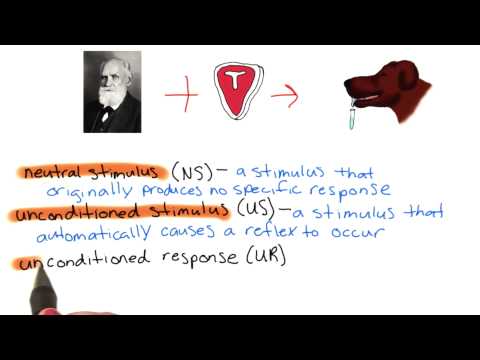 Conditioning: Key Types in Psychology and Their Impact on Behavior