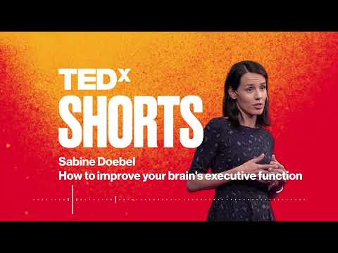 Strategies for Improving Executive Functioning Skills