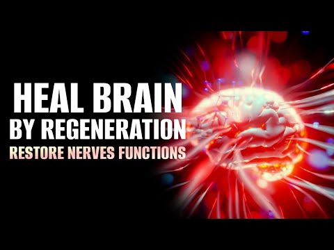 Neuroplasticity: The Brain's Capacity for Change and Healing