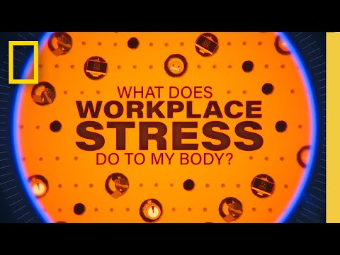Navigating the Challenges of a Stressful Work Environment