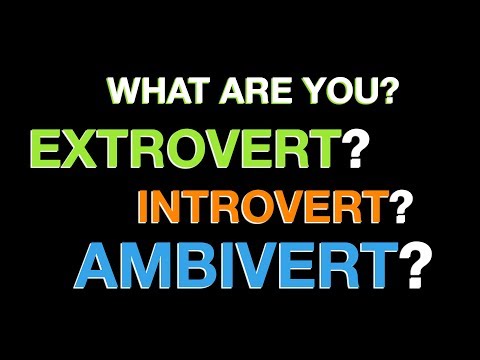 The Ambivert Test: Insights into Personality Types and Balance