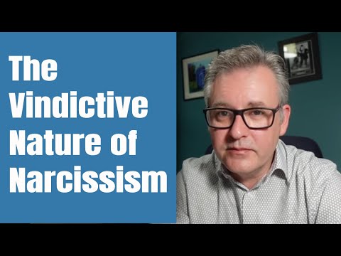 The Psychological Profile of Vindictive Narcissism