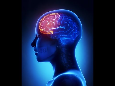 Finding Local Executive Function Therapy for Mental Health Support