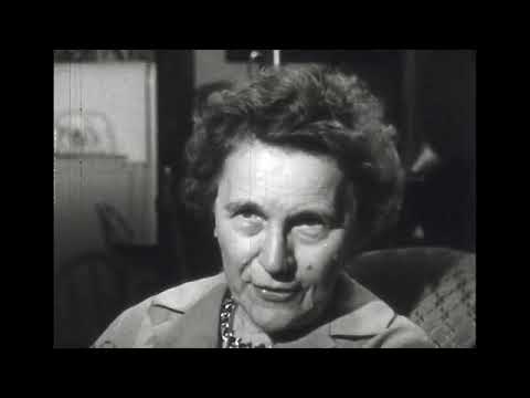 Navigating Life with Paranoid Schizophrenia Disorder