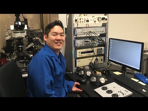 Navigating the Boundary Between Sleep and Wakefulness