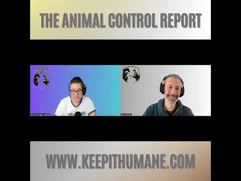 Navigating the Challenges of Compassion Overload in Mental Health