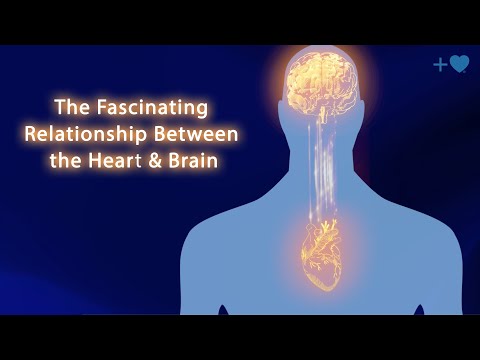 The Mind-Heart Connection: Breathing for Emotional Balance