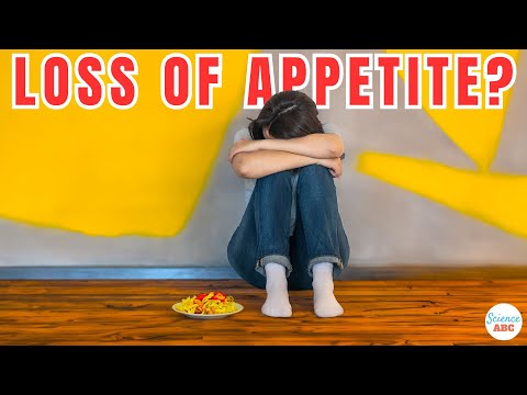 Addressing Loss of Appetite in Depression and Mental Health