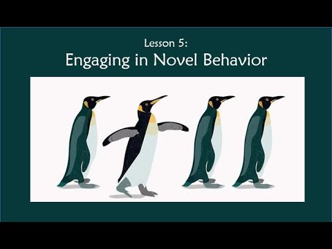 Enhancing Mental Wellness with ro dbt Techniques