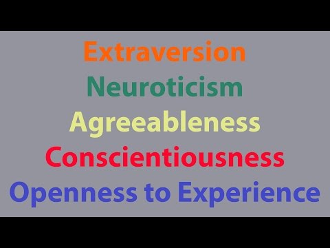 Jordan Peterson's Personality Type and Its Psychological Effects