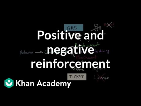 Navigating Positive and Negative Reinforcement in Psychology
