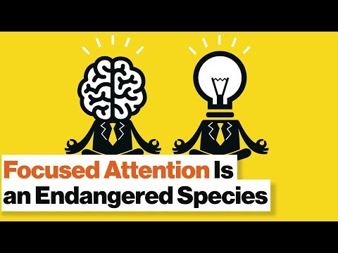 Enhance Your Focus Through Mindfulness and Mental Health