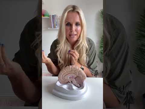 Narcissistic Personality Disorder and Its Effects on the Mind