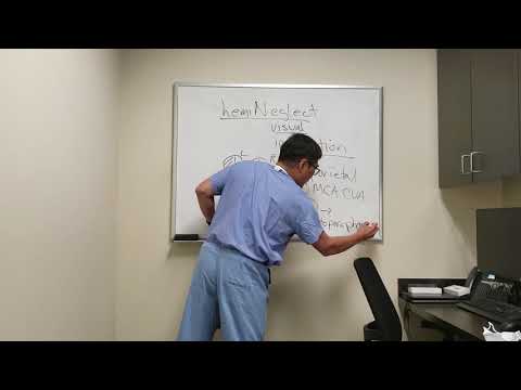 Recognizing Symptoms of Hemispatial Neglect in Patients