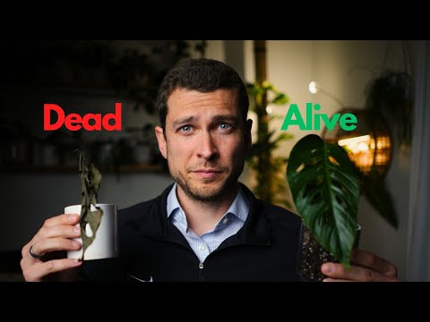 Building Emotional Safety in Your Relationship