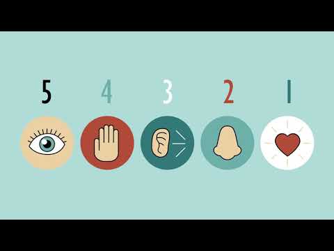 Cognitive Grounding Techniques for Mental Wellbeing