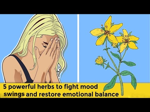 Herbal Remedies to Lift Your Mood Naturally and Sustainably