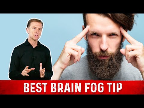 Eggs and Brain Fog: A Nutritional Perspective on Mental Clarity