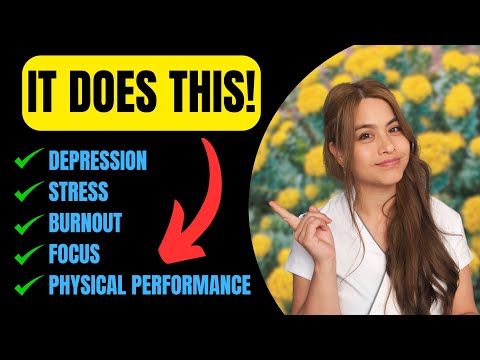 Rhodiola's Role in Mental Health and SSRIs Effects