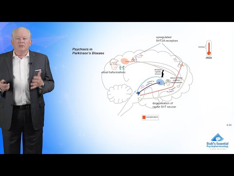 Role of 5 HT2A Receptors in Schizophrenia Symptoms