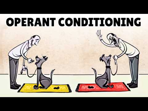 Daily Life Influenced by Operant Conditioning Techniques