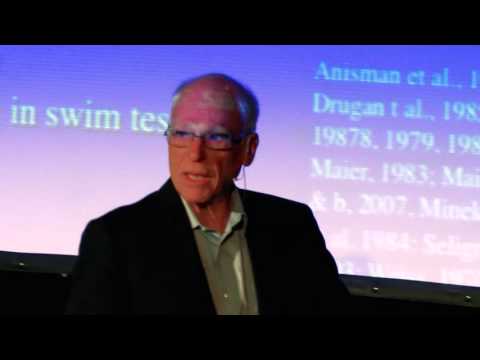 Steven Maier and the Psychology of Learned Helplessness