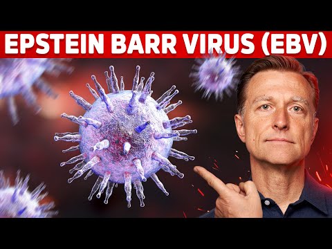 Epstein-Barr Virus and Its Link to Cognitive Dysfunction