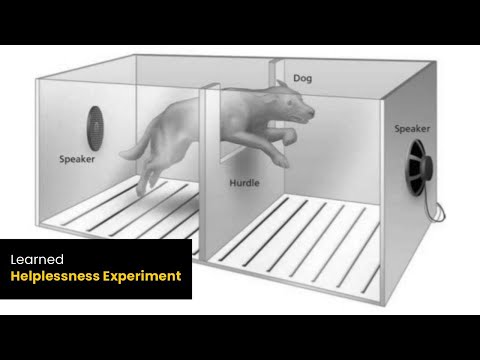 The Psychology of Seligman and Maier's Learned Helplessness