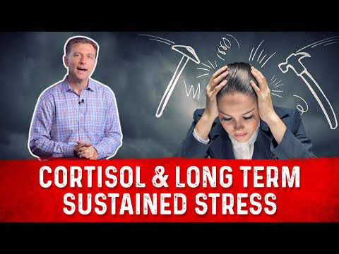 Long-Term Effects of Chronic Stress on Mental Health