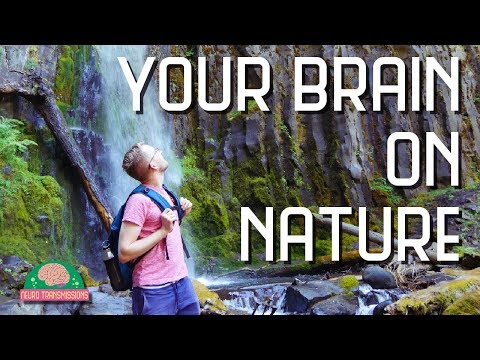 Environmental Conditioning and Its Effect on Mental Health