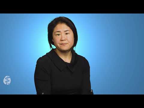 Immigration Stress and Mental Health: A Psychological Perspective