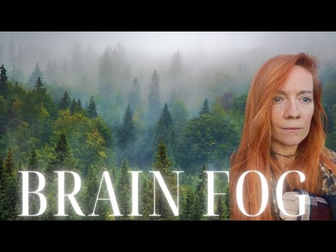 Effexor and Brain Fog Experiences Shared on Reddit