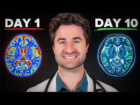 Navigating Brain Fog Symptoms Through Reddit Discussions