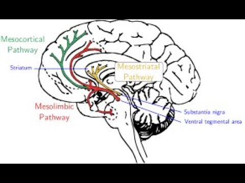 Geodon 60 mg and Its Role in Mental Health Treatment
