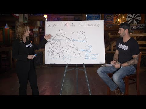 Classical Conditioning's Role in PTSD Treatment and Recovery