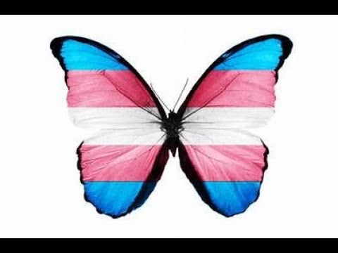 Gender Identity Disorder Criteria in DSM: A Psychological Perspective