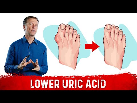 Uric Acid and Its Role in Mental Clarity and Focus