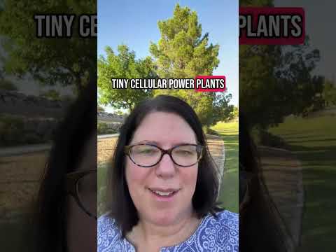 Navigating Afternoon Brain Fog: Psychological Insights