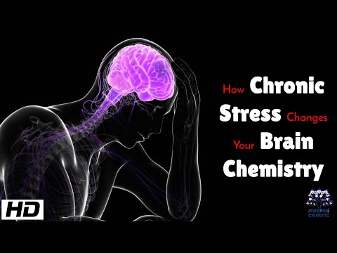 Chronic Stress and Its Hidden Toll on Mental Health