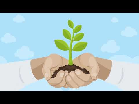 Boosting Workplace Wellbeing Through Mental Health Activities