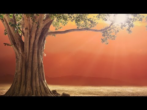 Sushumna Breathing: A Path to Mental Clarity and Peace