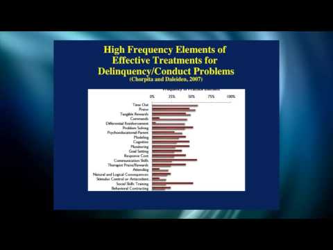 Evidence Based Practices in Mental Health Research