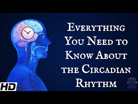 Signs Your Circadian Rhythm is Disrupting Your Mental Health