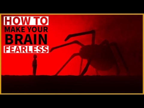 Fear Conditioning in Psychology: Real-Life Examples and Effects