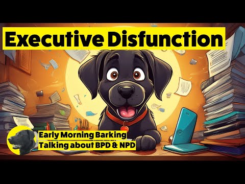 Navigating Executive Dysfunction in Borderline Personality Disorder