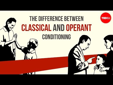Classical Conditioning Basics for Psychology Enthusiasts