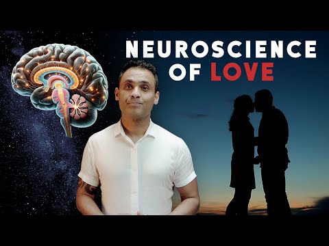 Attachment Bonds and Their Role in Romantic Relationships