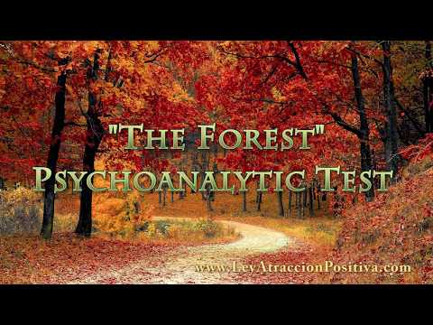 Alpha Personality Test: Insights into Your Mental Makeup