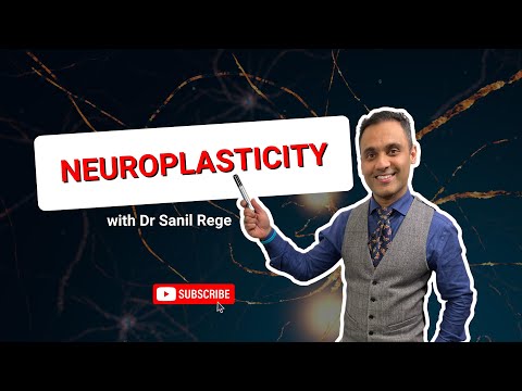 Mind Matters: Neuroplasticity and Synaptic Change in Wellbeing